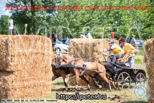 Mintakép 20260613-1277
