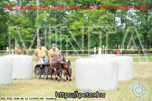 Mintakép 20260613-1283
