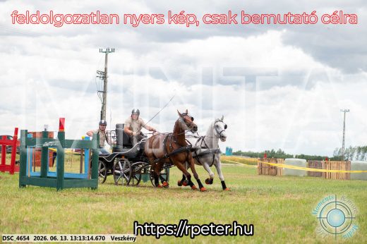 Mintakép 20260613-54