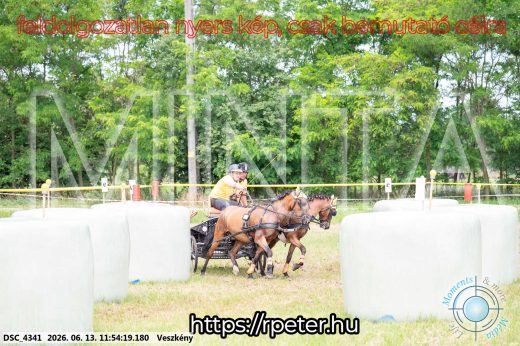 Mintakép 20260613-1289