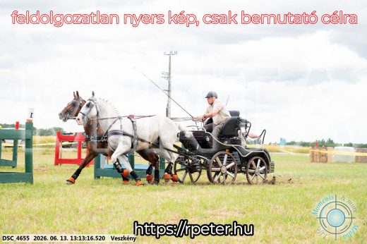Mintakép 20260613-55