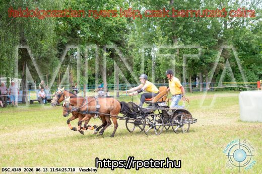 Mintakép 20260613-1295