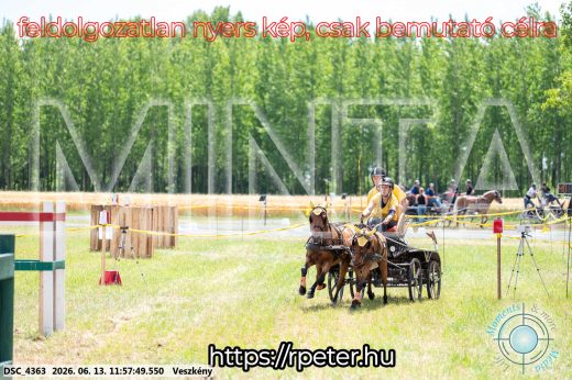 Mintakép 20260613-1296