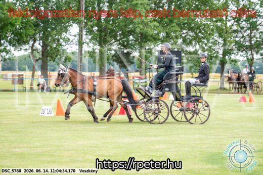 Mintakép 20260614-495