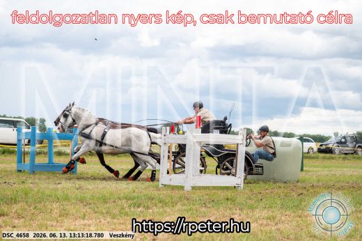 Mintakép 20260613-57