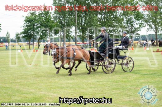 Mintakép 20260614-505