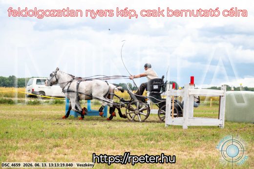 Mintakép 20260613-58