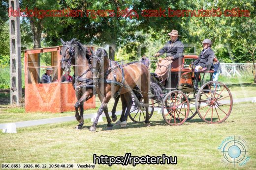 Mintakép 20260612-655