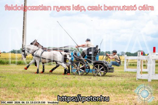 Mintakép 20260613-59