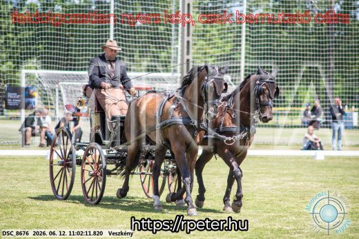 Mintakép 20260612-671