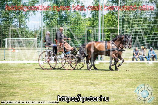 Mintakép 20260612-672
