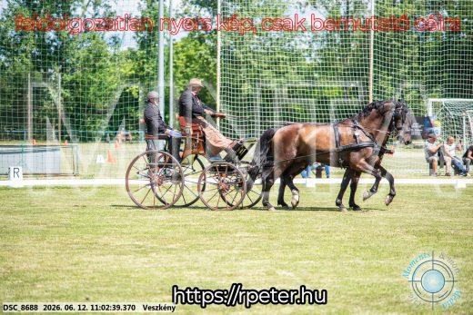 Mintakép 20260612-673