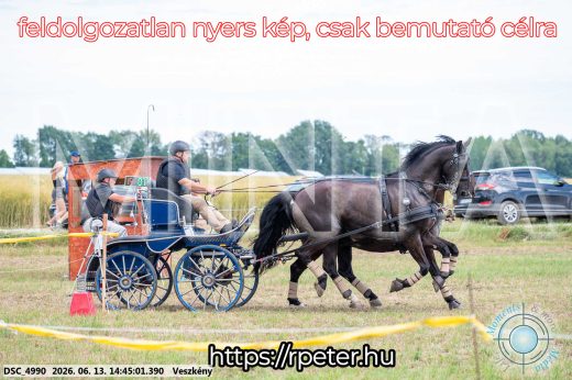 Mintakép 20260613-1302