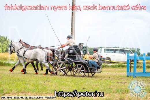 Mintakép 20260613-61