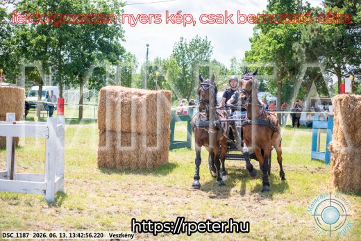 Mintakép 20260613-1304