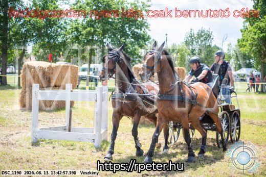 Mintakép 20260613-1307