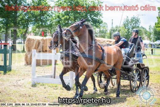 Mintakép 20260613-1308