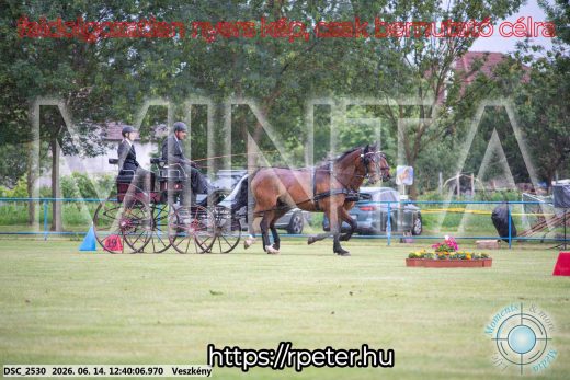 Mintakép 20260614-506