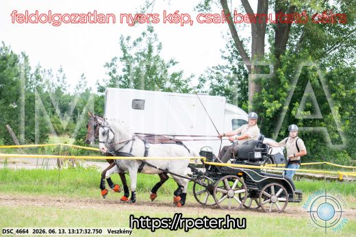 Mintakép 20260613-62