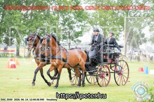 Mintakép 20260614-510