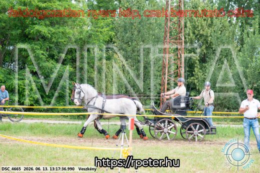 Mintakép 20260613-63