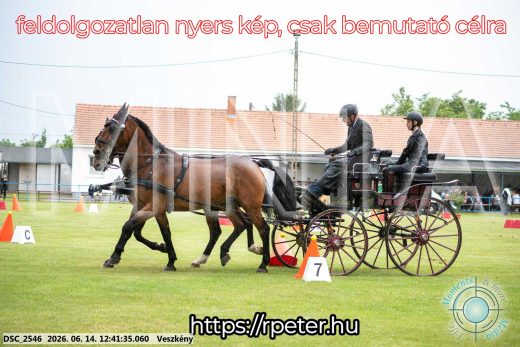 Mintakép 20260614-519
