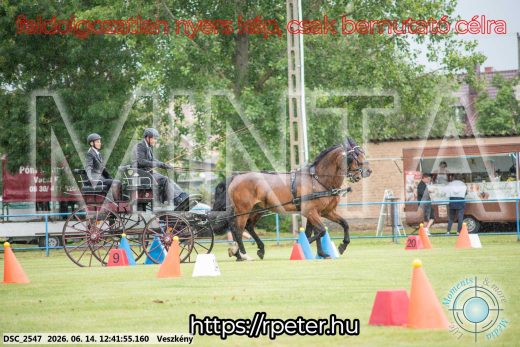 Mintakép 20260614-520