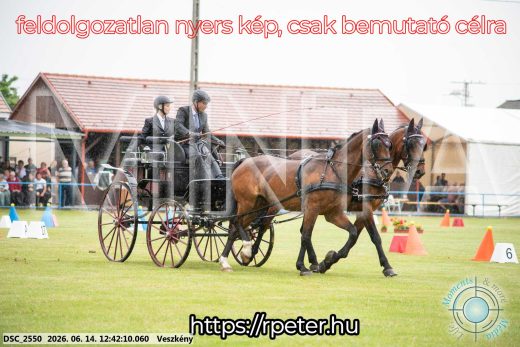 Mintakép 20260614-523