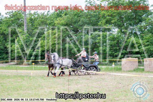 Mintakép 20260613-64
