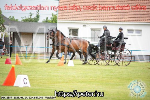 Mintakép 20260614-530