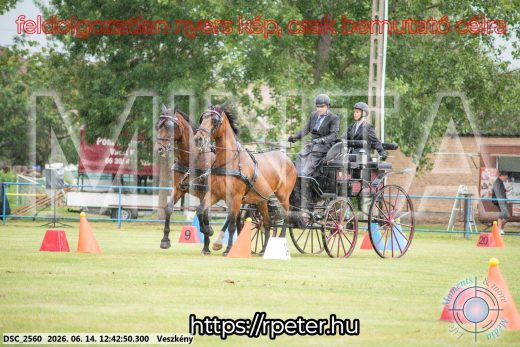 Mintakép 20260614-533