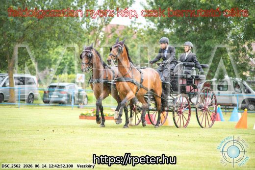Mintakép 20260614-535