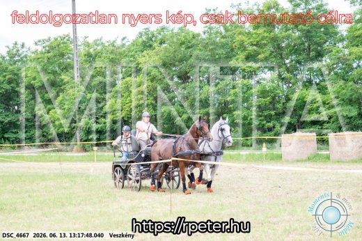Mintakép 20260613-65