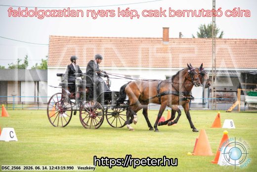 Mintakép 20260614-539