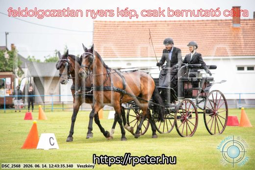 Mintakép 20260614-541