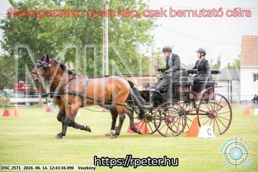Mintakép 20260614-544