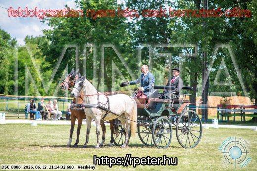 20260612-111432-DSC_8806.jpg