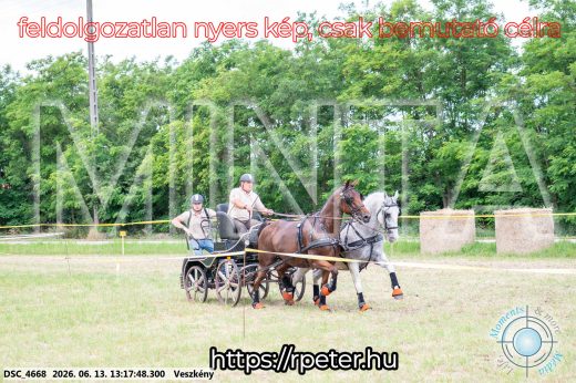Mintakép 20260613-66