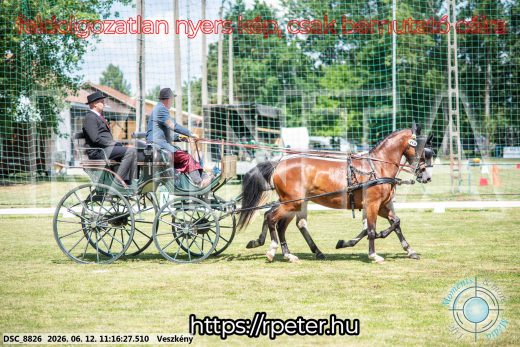 Mintakép 20260612-691