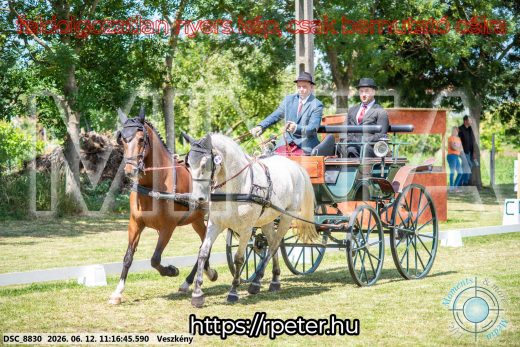 Mintakép 20260612-694