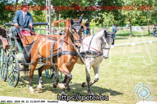 Mintakép 20260612-695