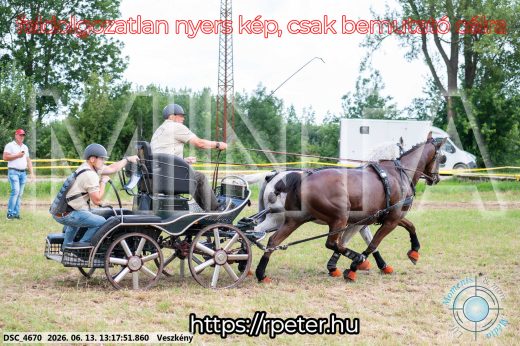 Mintakép 20260613-68