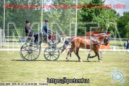 Mintakép 20260612-709
