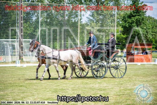 Mintakép 20260612-715
