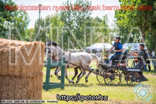 Mintakép 20260613-1311