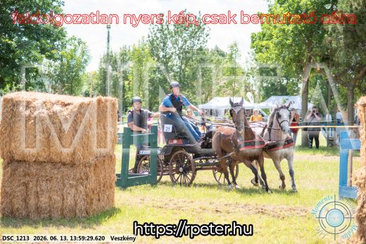 Mintakép 20260613-1312