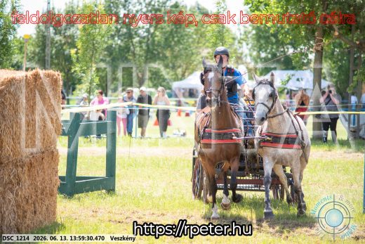Mintakép 20260613-1313