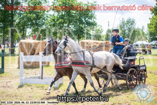 Mintakép 20260613-1316
