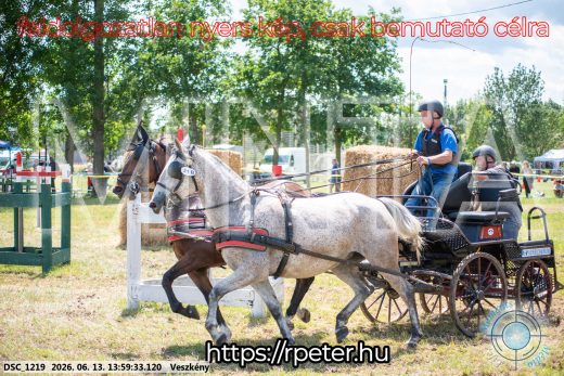 Mintakép 20260613-1317
