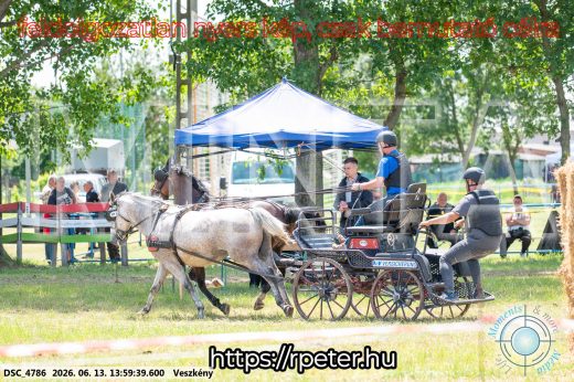 Mintakép 20260613-1318
